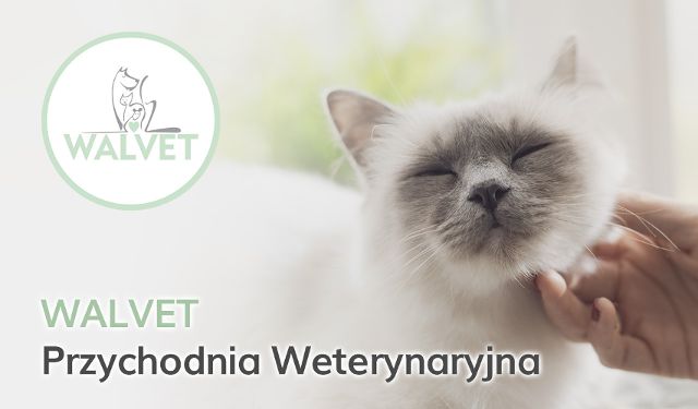 Przychodnia Weterynaryjna WALVET
