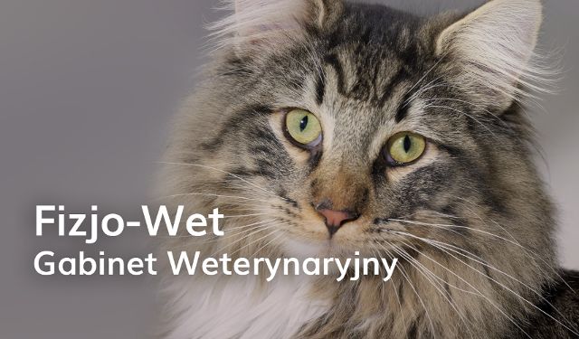 Gabinet Weterynaryjny Fizjo-Wet