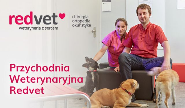 Przychodnia Weterynaryjna Redvet