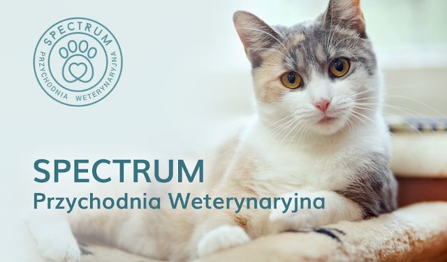 SPECTRUM Przychodnia Weterynaryjna