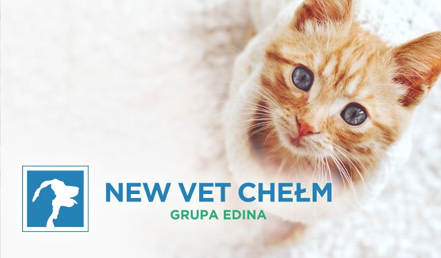 Przychodnia Weterynaryjna New Vet Chełm Grupa EDINA