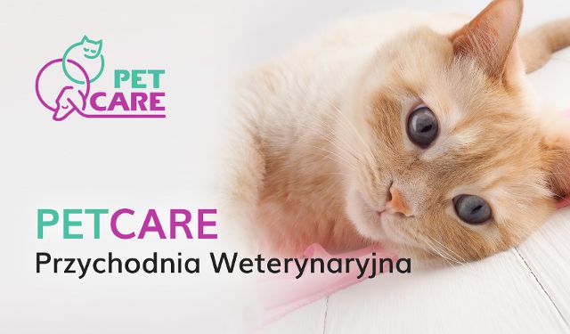 Przychodnia Weterynaryjna PetCare