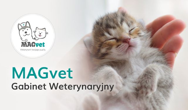 Gabinet weterynaryjny MAGvet