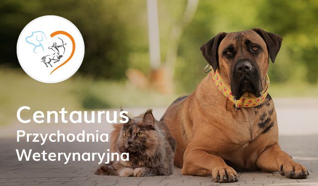 Przychodnia Weterynaryjna Centaurus