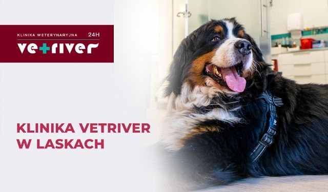 Całodobowa Klinika Weterynaryjna Vetriver w Laskach