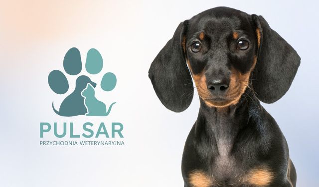 Przychodnia Weterynaryjna Pulsar