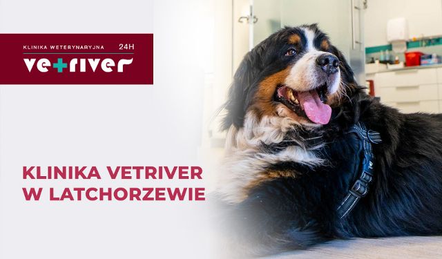 Klinika Vetriver w Latchorzewie