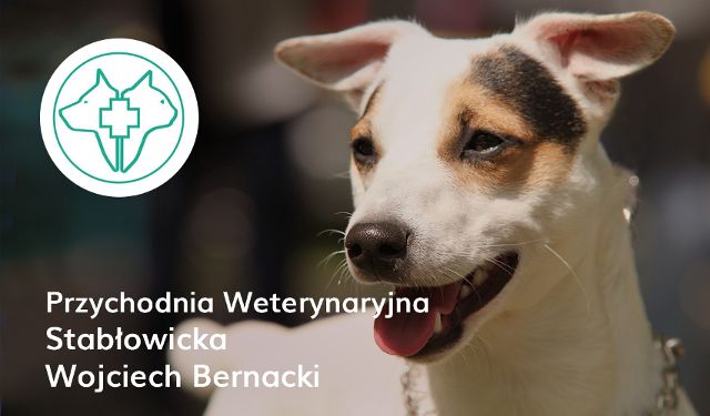 Przychodnia Weterynaryjna Stabłowicka  Agnieszka Bernacka