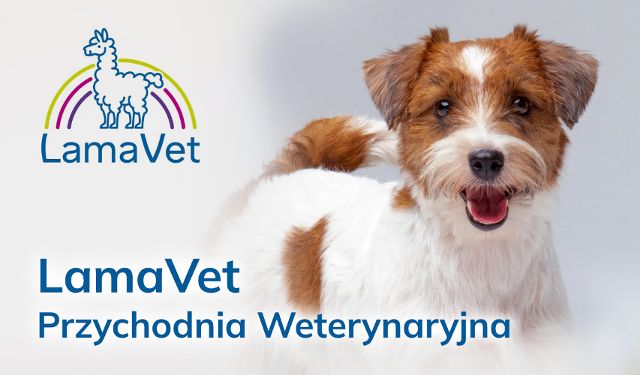 Przychodnia Weterynaryjna Lamavet