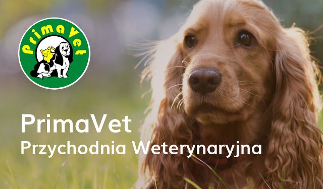 Przychodnia Weterynaryjna PrimaVet