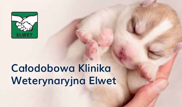 Całodobowa Klinika Weterynaryjna Elwet