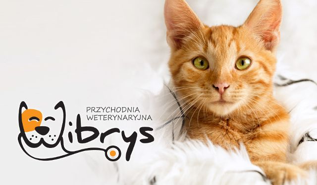 Przychodnia Weterynaryjna Wibrys
