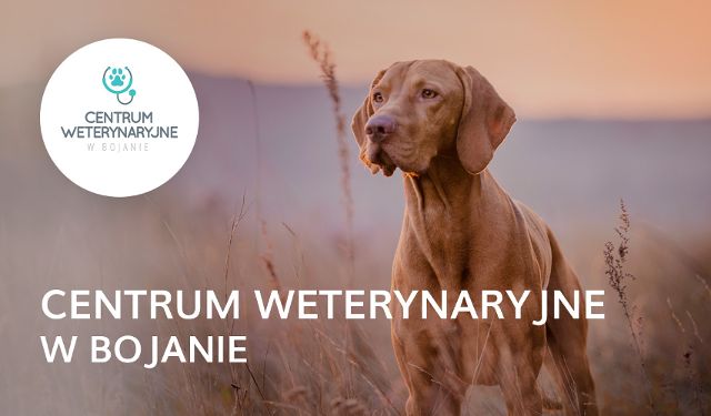 Przychodnia Weterynaryjna Centrum Weterynaryjne w Bojanie