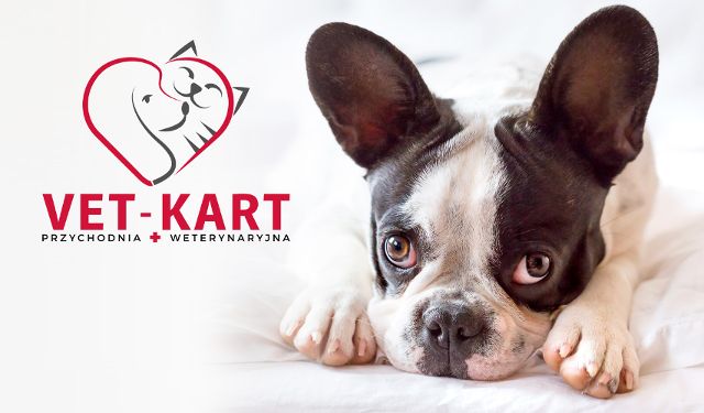 Przychodnia weterynaryjna Vet-Kart