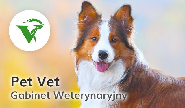 Gabinet Weterynaryjny Pet Vet