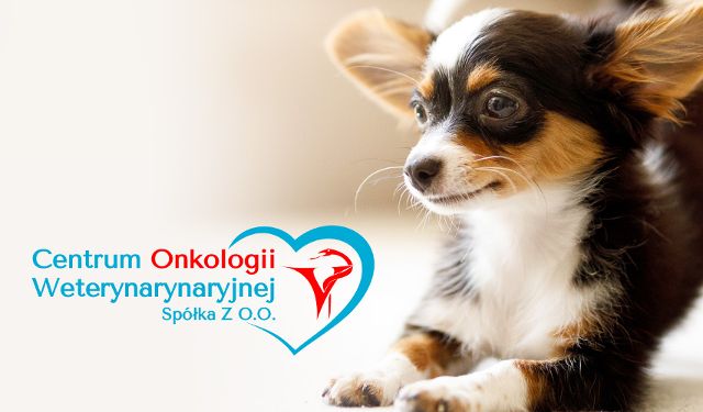 Centrum Onkologii Weterynaryjnej
