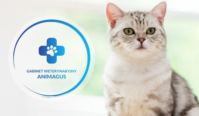 Gabinet Weterynaryjny Animagus