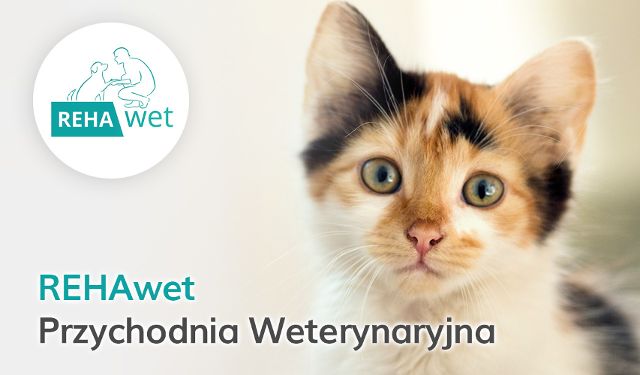 Przychodnia Weterynaryjna Rehawet Klimek